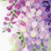 Riolis - Wisteria