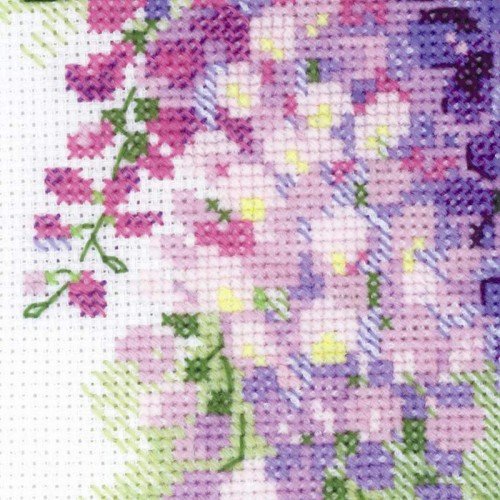 Riolis - Wisteria
