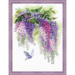 Riolis - Wisteria