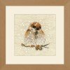 Riolis - Sparrow