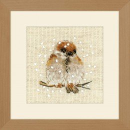 Riolis - Sparrow