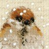 Riolis - Sparrow