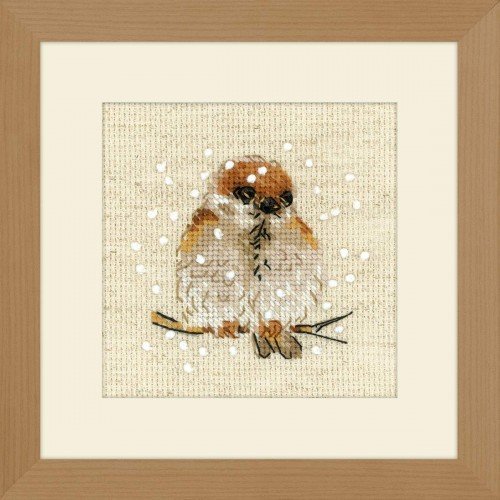 Riolis - Sparrow