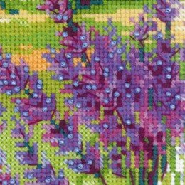 Riolis - Farm in Provence