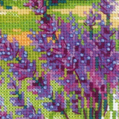 Riolis - Farm in Provence