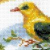 Riolis - Plate with Oriole