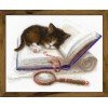Riolis - Kitten on the Book