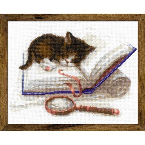 Riolis - Kitten on the Book