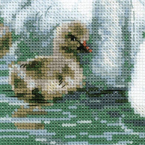 Riolis - White Swans