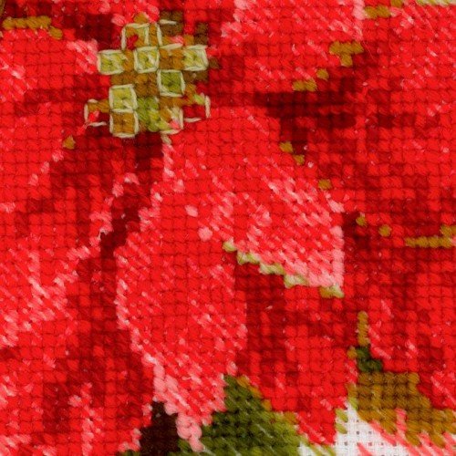 Riolis - Poinsettia