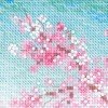 Riolis - Sakura. Puente