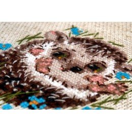 Riolis - Little Hedgehog