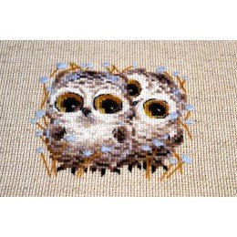 Riolis - Little Owls
