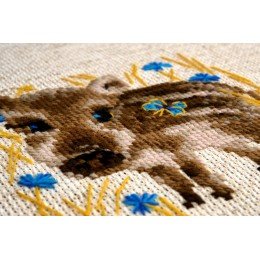 Riolis - Little Boar