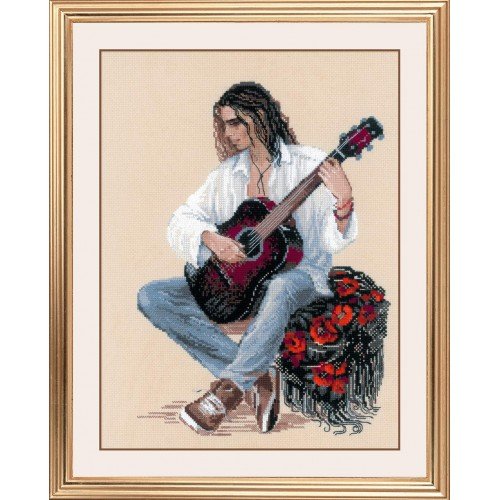 Riolis - Guitarist