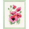 Riolis - Pink Poppies