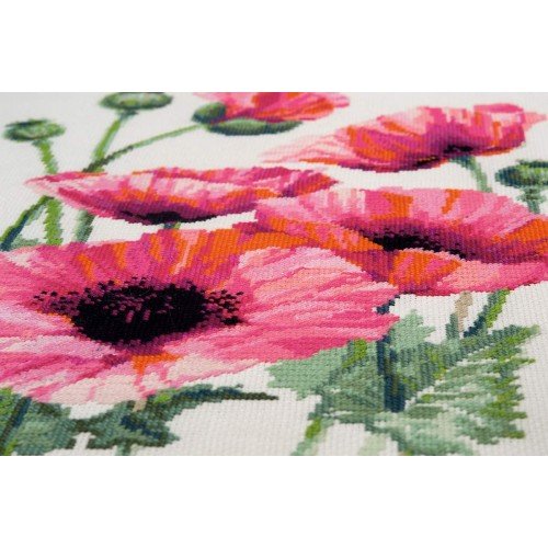 Riolis - Pink Poppies