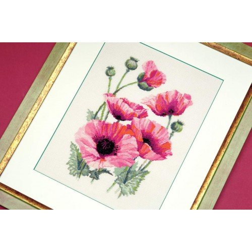 Riolis - Pink Poppies