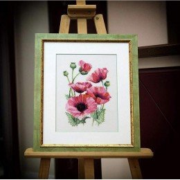 Riolis - Pink Poppies