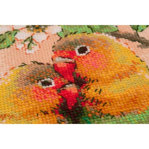 Riolis - Tortolitos