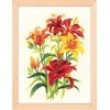 Riolis - Tiger Lilies