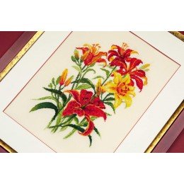 Riolis - Tiger Lilies