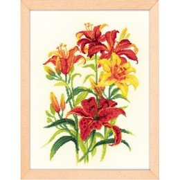 Riolis - Tiger Lilies