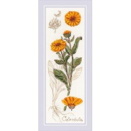 Riolis - Calendula