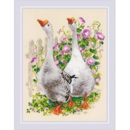 Riolis - Geese