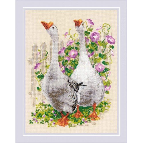 Riolis - Geese