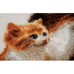 Riolis - Cat with Kittens