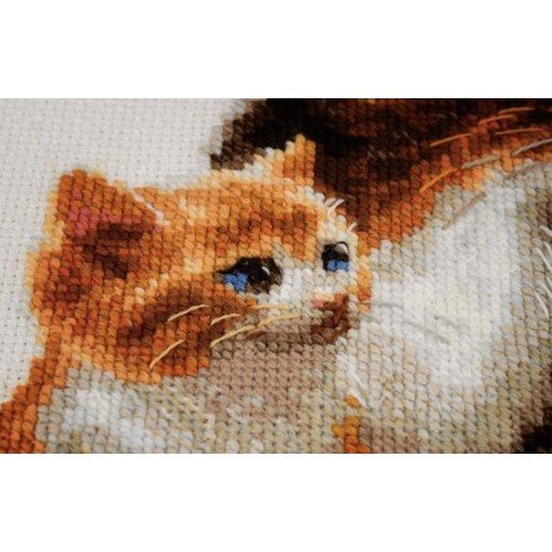 Riolis - Cat with Kittens