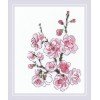 Riolis - The Branch of Sakura