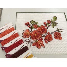 Riolis - The Branch of Cydonia