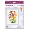 Riolis - Fragrant Freesia