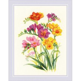 Riolis - Fragrant Freesia
