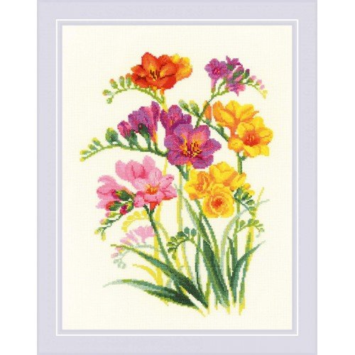Riolis - Fragrant Freesia