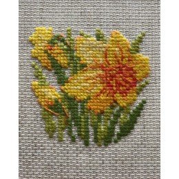 Riolis - Yellow Narcissus 