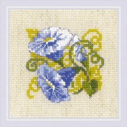 Riolis - Purple Bindweed