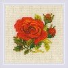 Riolis - Rosa Roja