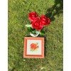Riolis - Rosa Roja
