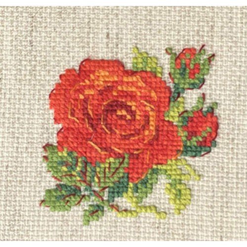 Riolis - Rosa Roja