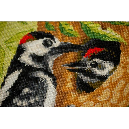 Riolis - Pájaro carpintero