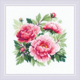 Riolis - Tree Peony