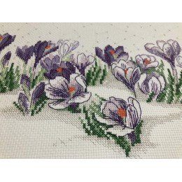 Riolis - Azafranes bajo la nieve