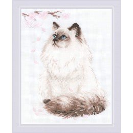 Riolis - Miau-Zen