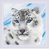 Riolis - Snow Leopard