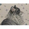 Riolis - Miau nevado
