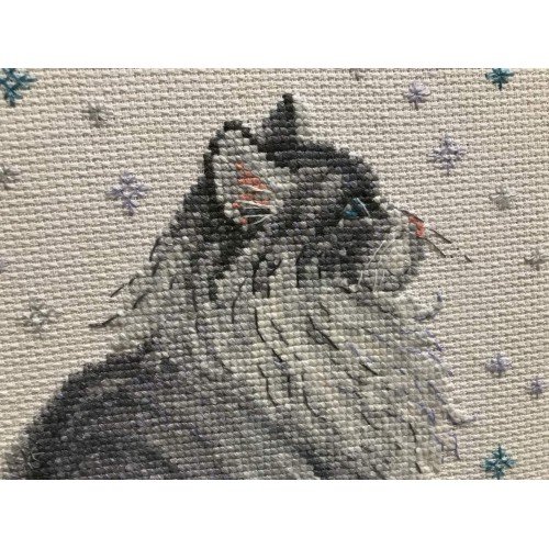 Riolis - Miau nevado