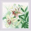 Riolis - White Lilies